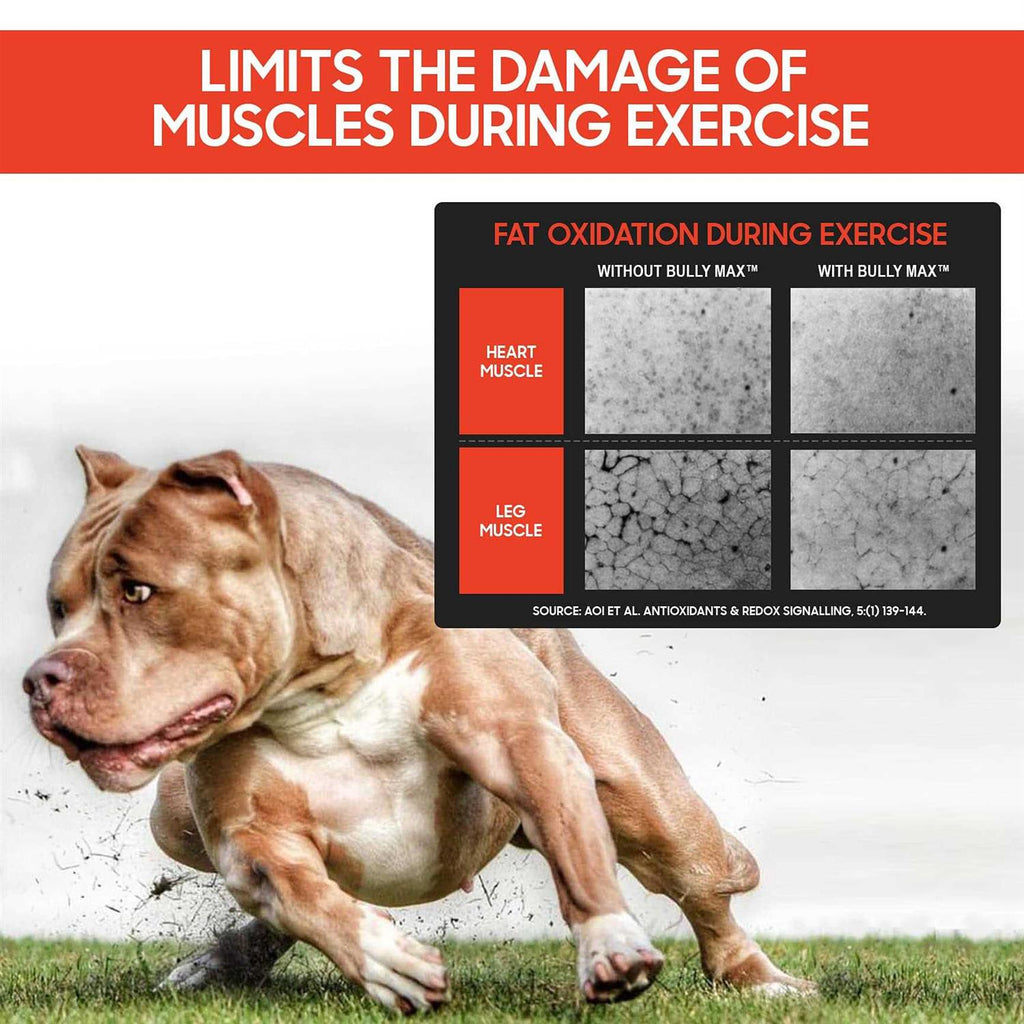 Muscle Builder for Dogs W14213