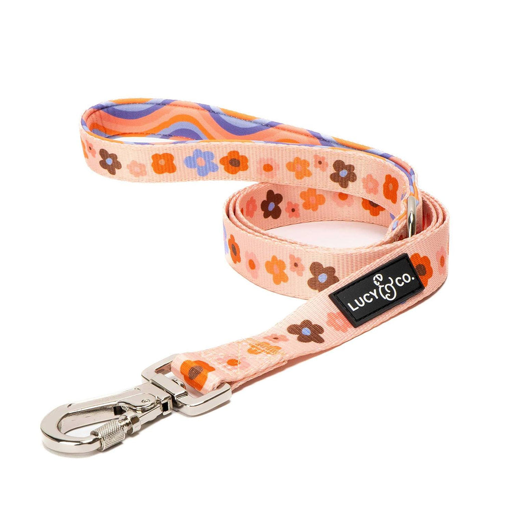Leash J29736