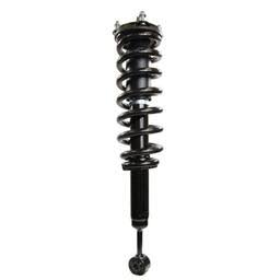 Suspension Strut and Coil Spring Assembly R265099