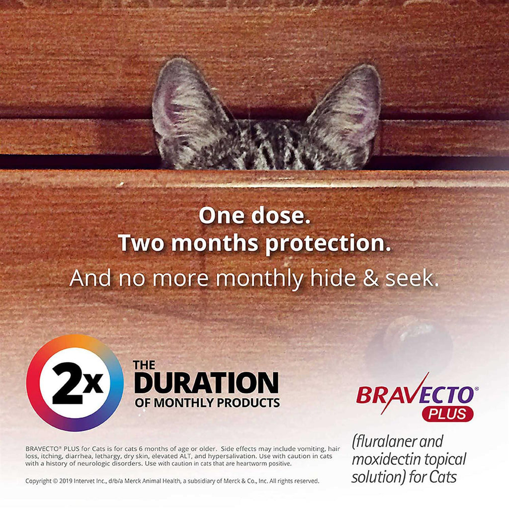 Topical Solution for Cats N8100