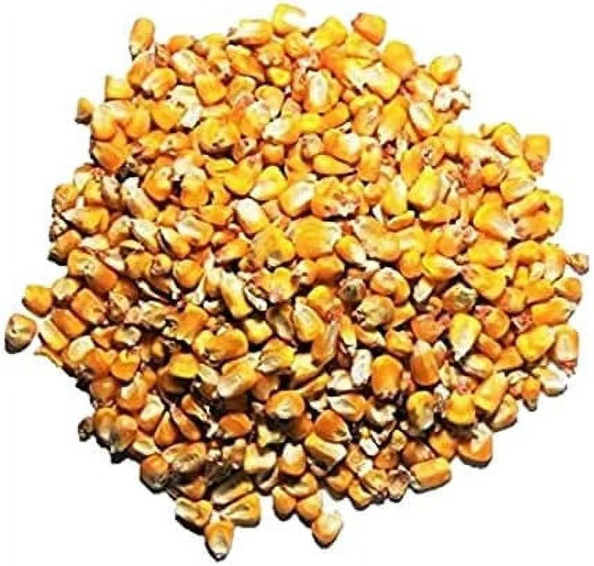 Whole Corn Wild Bird Deer Feed (10LB) R667