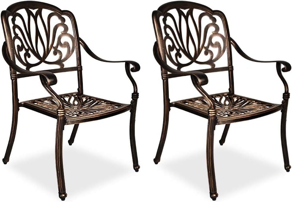 2 Piece Cast Aluminum Bistro Dining Chair Set R16532