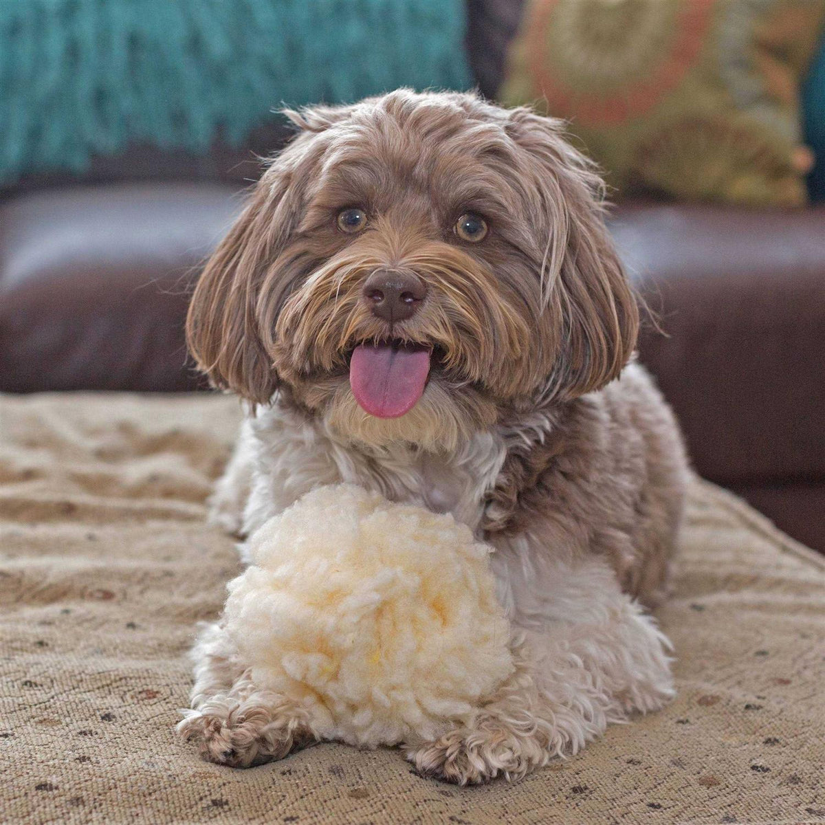 HuggleFleece Ball Dog Toy X68721