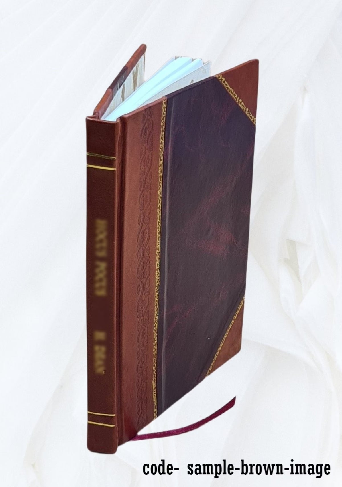 Compound Injector & Specialty Company. 1912 Leather Bound A962230