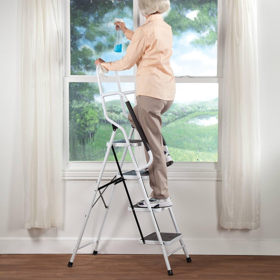 Step Ladder with Handles H28028