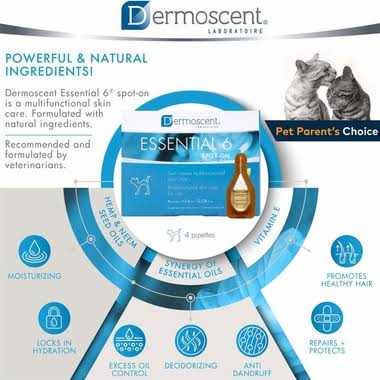 Essential 6 Spot-on Cats C666