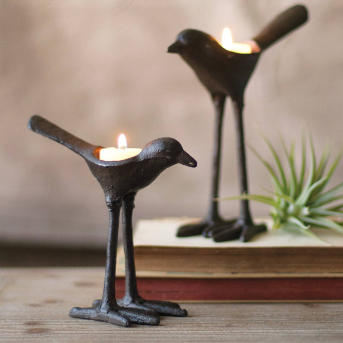 Cast Iron Tea Light Holders, Set of 2 W4535