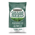 Kentucky 31 Tall Fescue Grass Seed 20 lb & Starter Lawn Fertilizer 14 LBS A7843