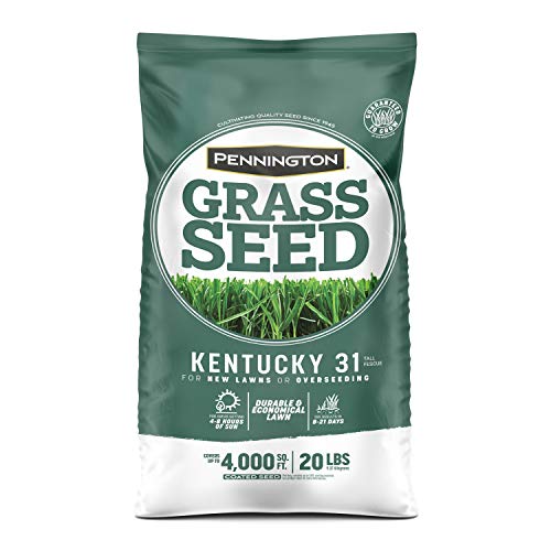 Kentucky 31 Tall Fescue Grass Seed 20 lb & Starter Lawn Fertilizer 14 LBS A7843