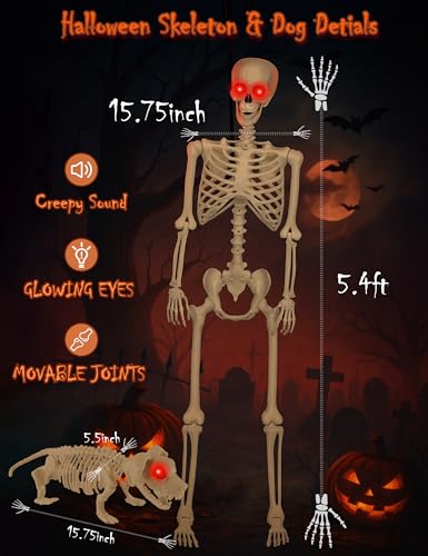 Life Size Skeleton with Glowing Eyes Movable Joints D223527