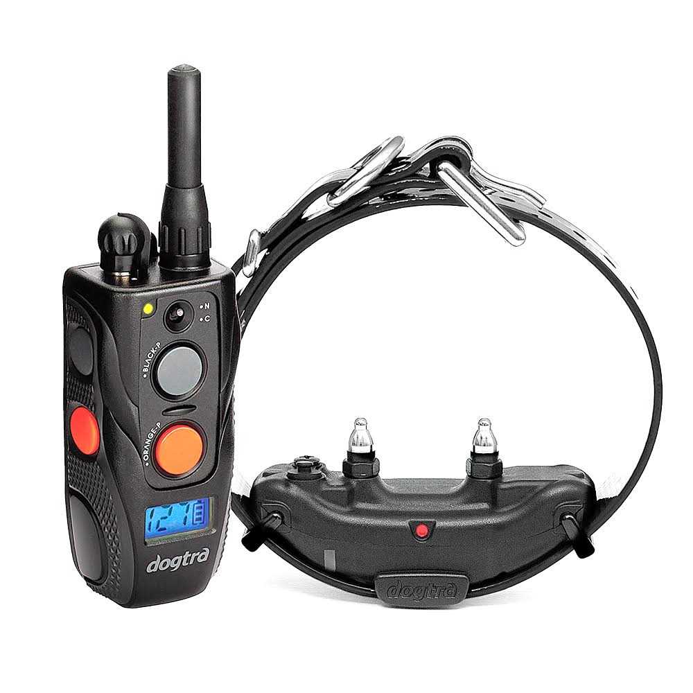 Remote Training Collar L1812
