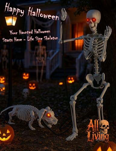 Life Size Skeleton with Glowing Eyes Movable Joints D223527