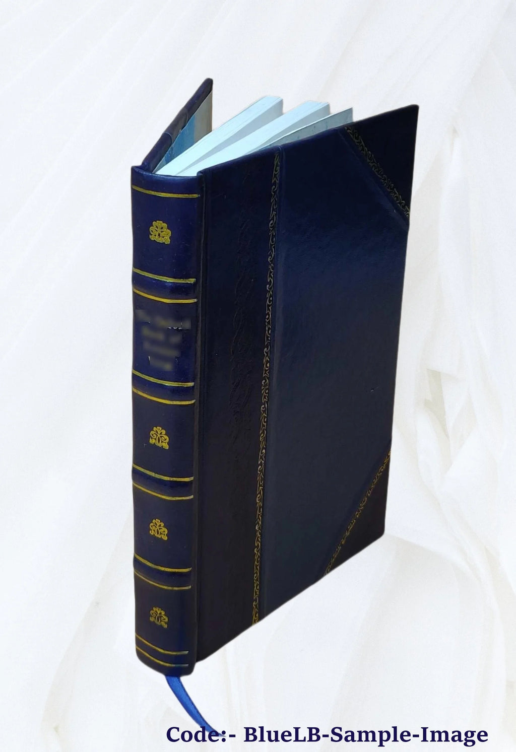 General Botha, the career and the man 1916 Leather Bound G23031