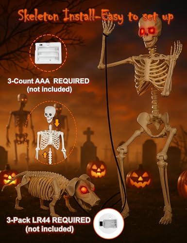 Life Size Skeleton with Glowing Eyes Movable Joints D223527