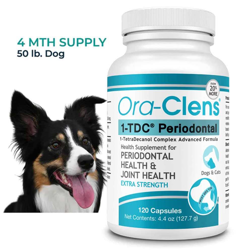 Dog & Cat Supplement N519