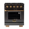 30 4.2 cu. ft. Dual Fuel Range in Titanium Stainless Steel R4468