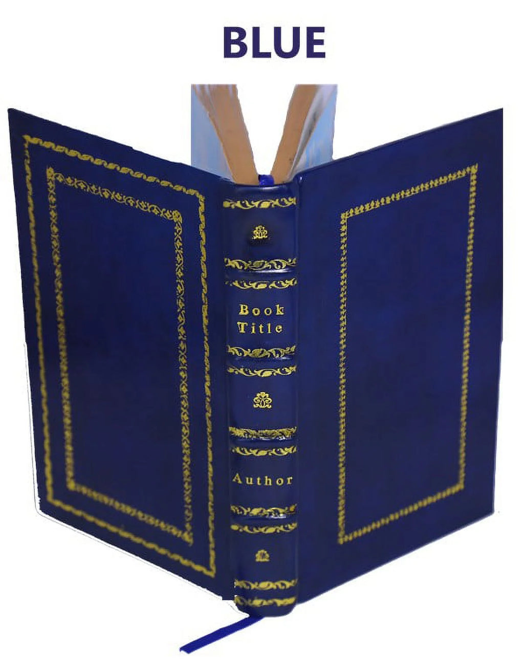 1875 Volume v.1, pt.2 Leather Bound A152460