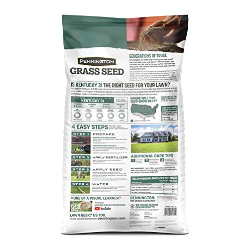 Kentucky 31 Tall Fescue Grass Seed 20 lb & Starter Lawn Fertilizer 14 LBS A7843
