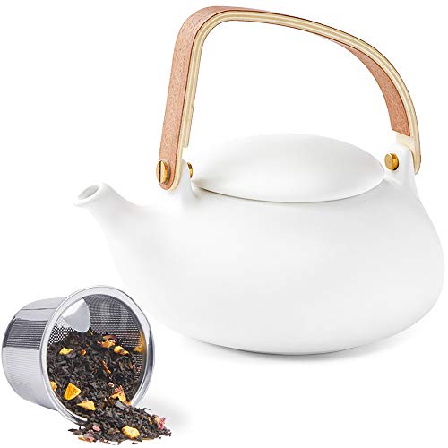 27 oz Ceramic Japanese Teapot with Fine Stainers and 4 Cups J728