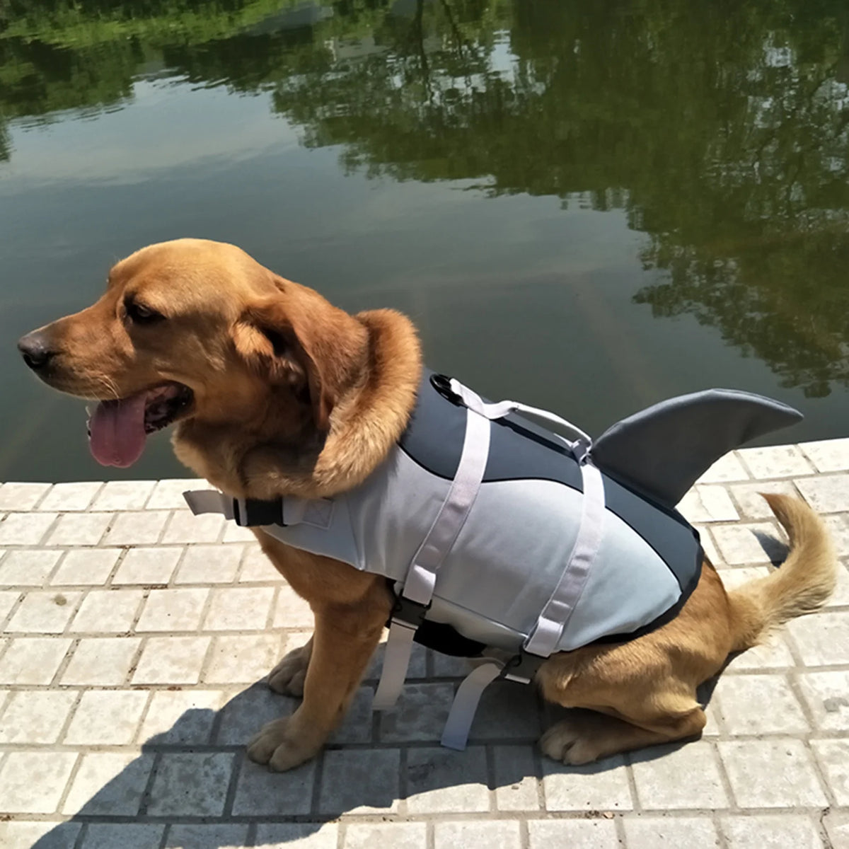 Dog Pet Shark Swimsuit Vest Safety Wear Preserver For Water Safety Device P331372