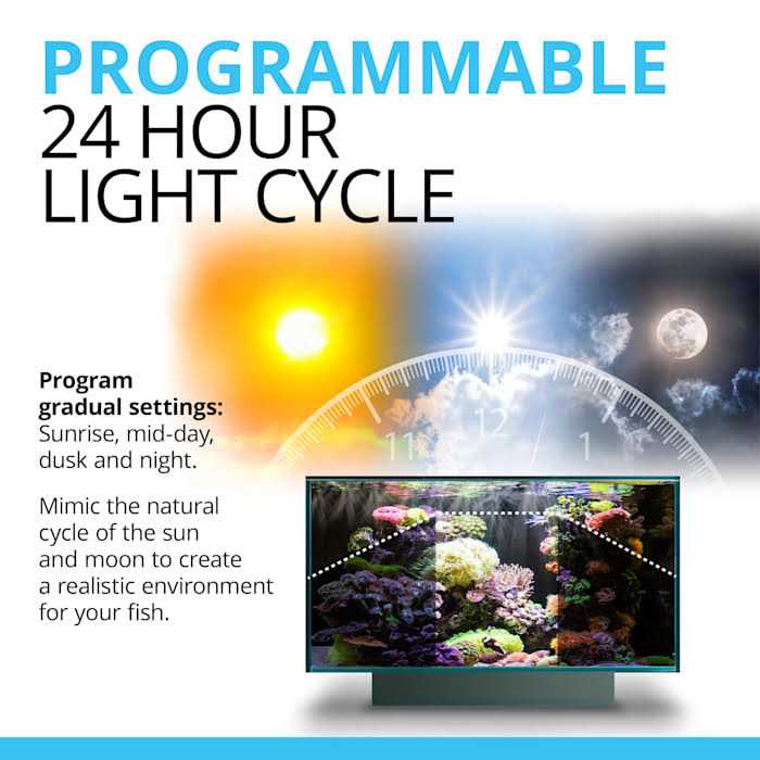 LED T5973