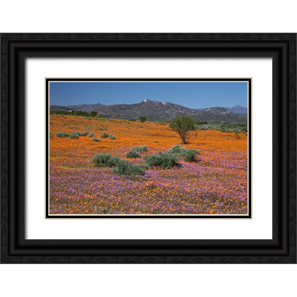 Black Ornate Wood Framed Art Print E100960