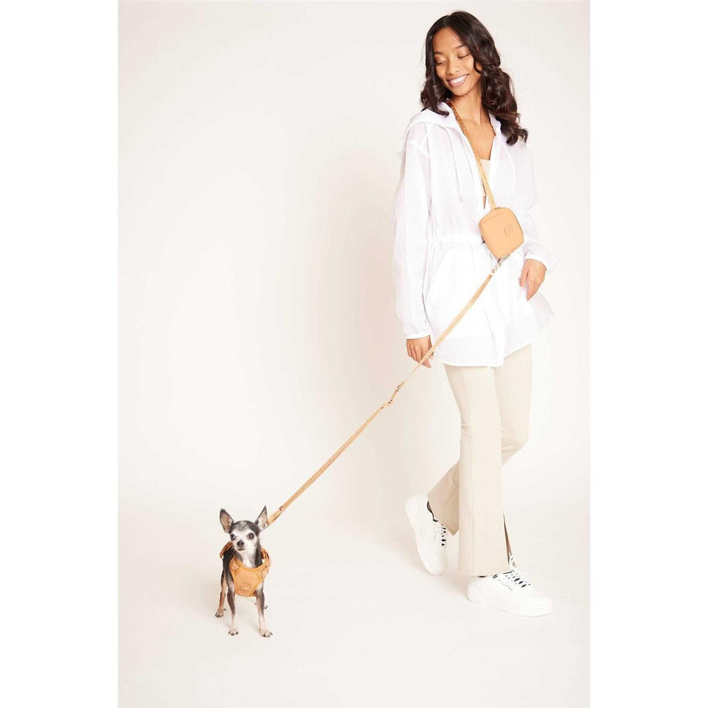 Hands Free Leash F58596