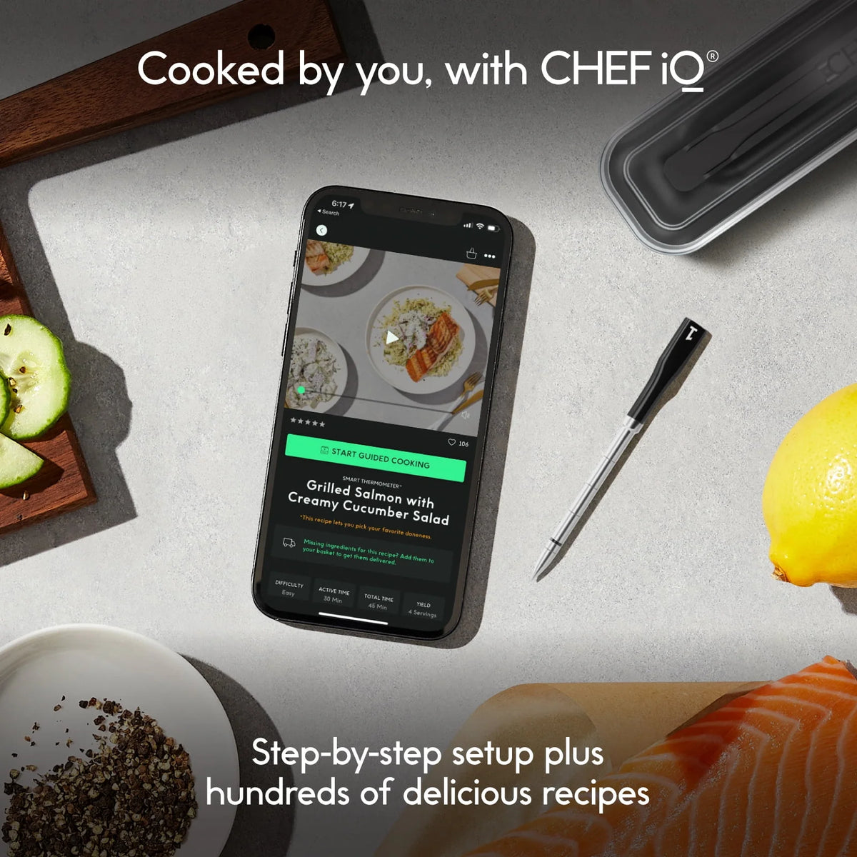 Wireless Meat Thermometer with Smart Hub Y4494