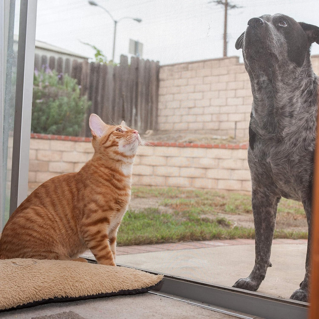 36” x 50’ Pet Proof Screen S56267