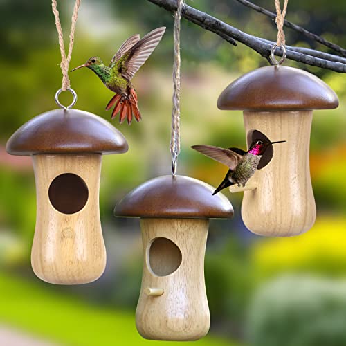 Hanging Hummingbird Nest Branches with Leaf (1 PCS) U31225