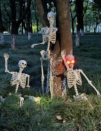 Life Size Skeleton with Glowing Eyes Movable Joints D223527