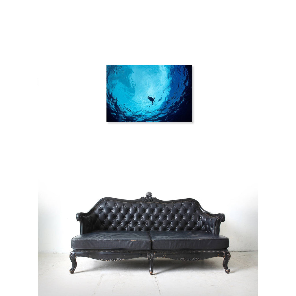 Blue Green Sea Turtle Canvas Art Y69385