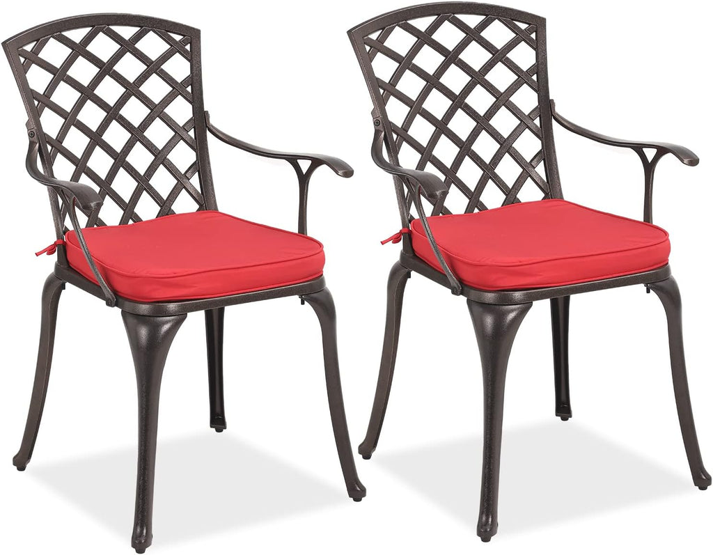 2 Piece Cast Aluminum Bistro Dining Chair Set R16532