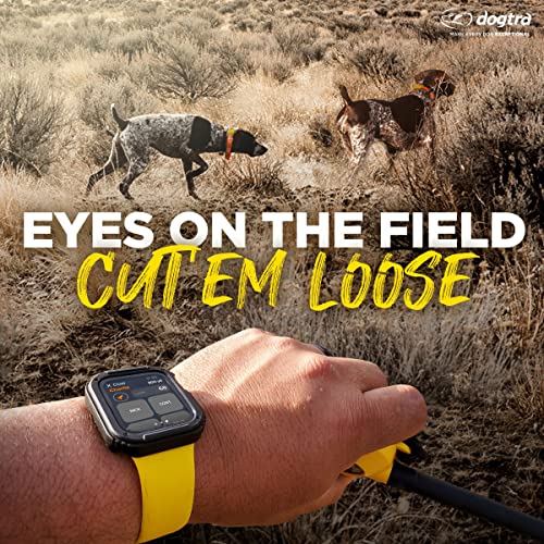 GPS Dog Training Collar with Remote, 9 Mile Range, Tracking P65474