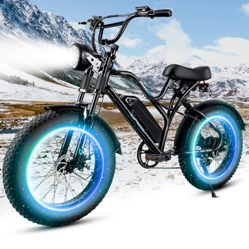 1500W 48V 15.6AH 20x4" Electric Bike S836