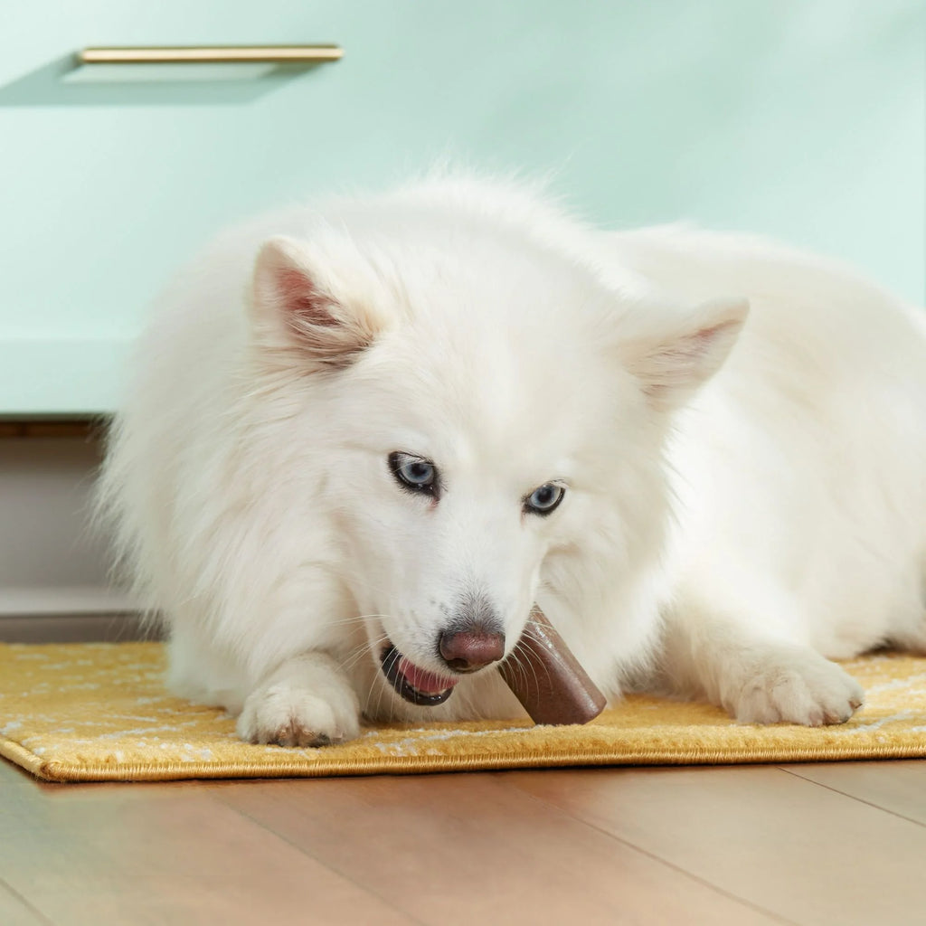 Dog Chews With Real Turkey & Rice, 3 Chews U2633