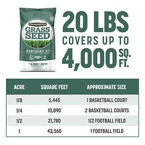 Kentucky 31 Tall Fescue Grass Seed 20 lb & Starter Lawn Fertilizer 14 LBS A7843