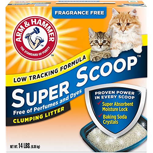 Fragrance Free Clumping Cat Litter 40lb Q373750