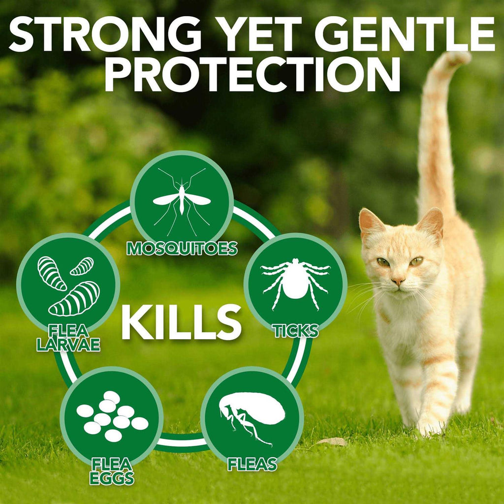 Flea Tick Home Spray F24239