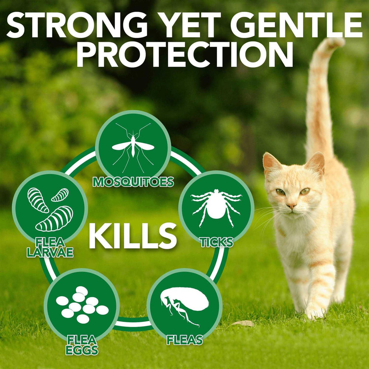 Flea Tick Home Spray F24239