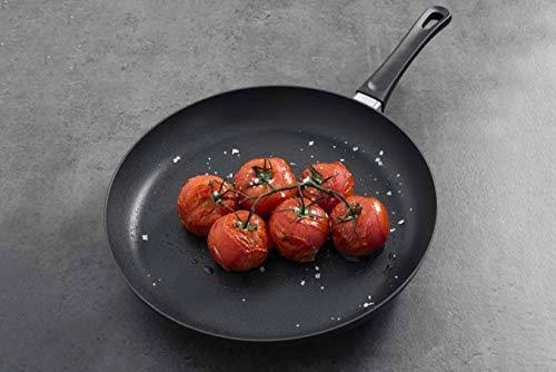 Classic Induction 10.25x22 Fry Pan T628920