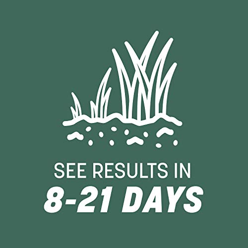 Kentucky 31 Tall Fescue Grass Seed 20 lb & Starter Lawn Fertilizer 14 LBS A7843