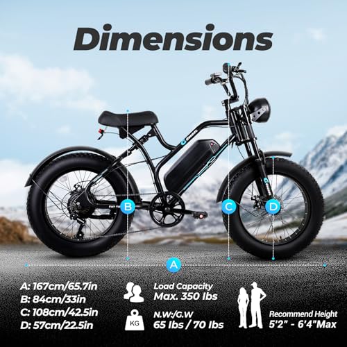 1500W 48V 15.6AH 20x4" Electric Bike S836