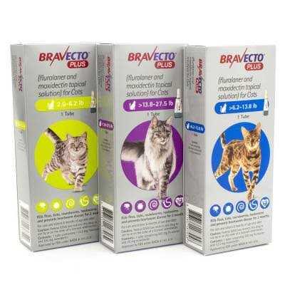 Topical Solution for Cats N8100