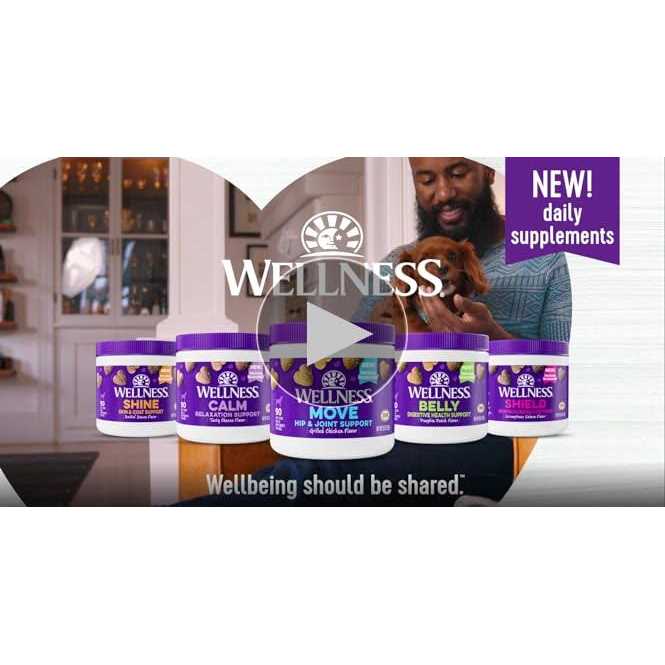 Cheese Flavored Soft Chews Calming Supplements for Dogs N86287
