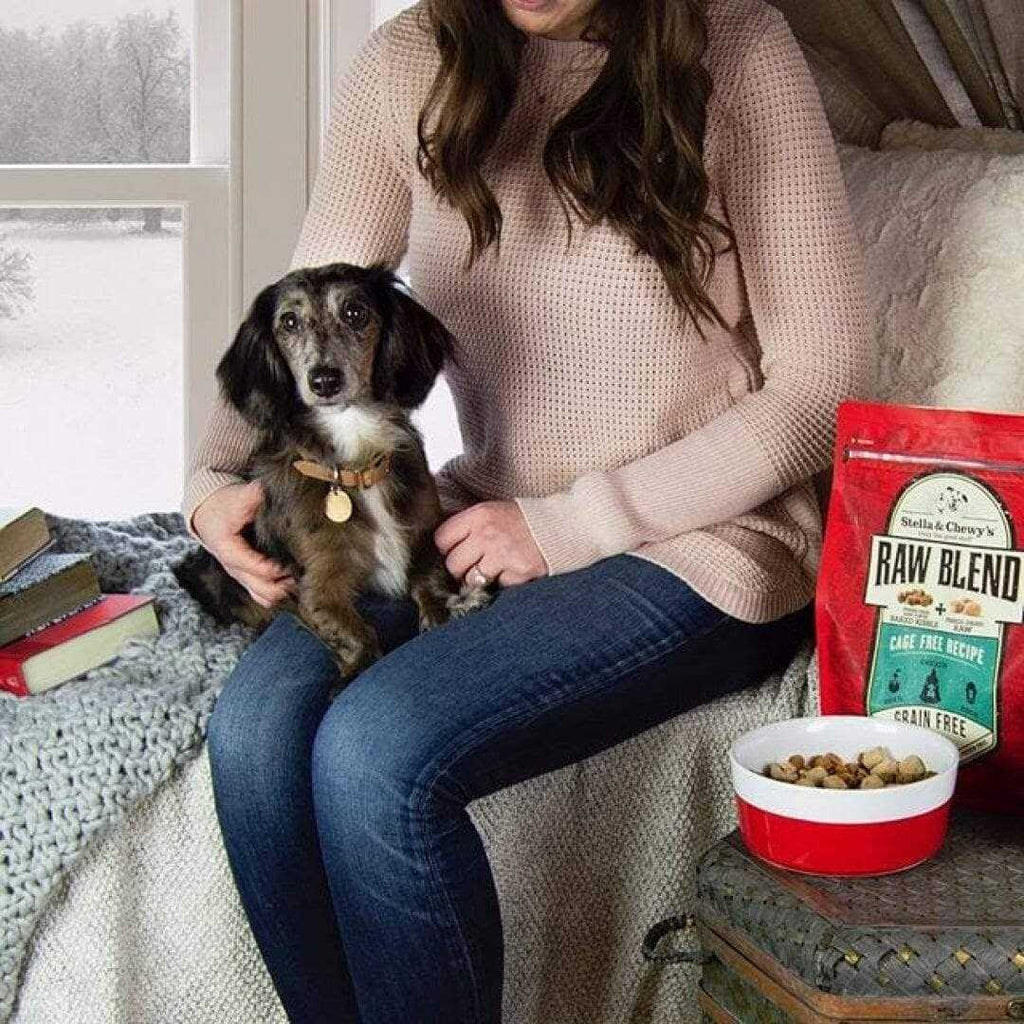 Cage Free Recipe Dog Food K20935