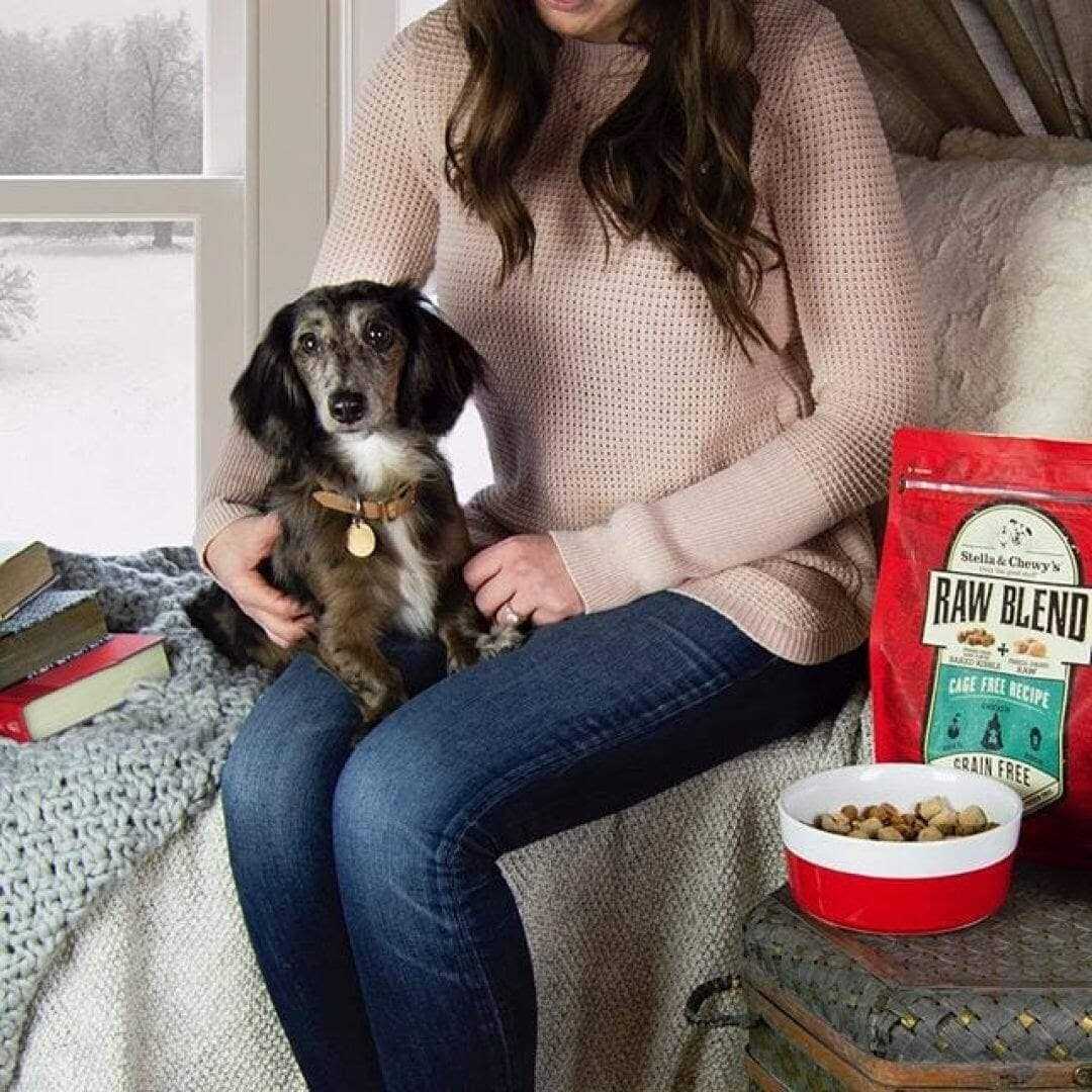 Cage Free Recipe Dog Food K20935