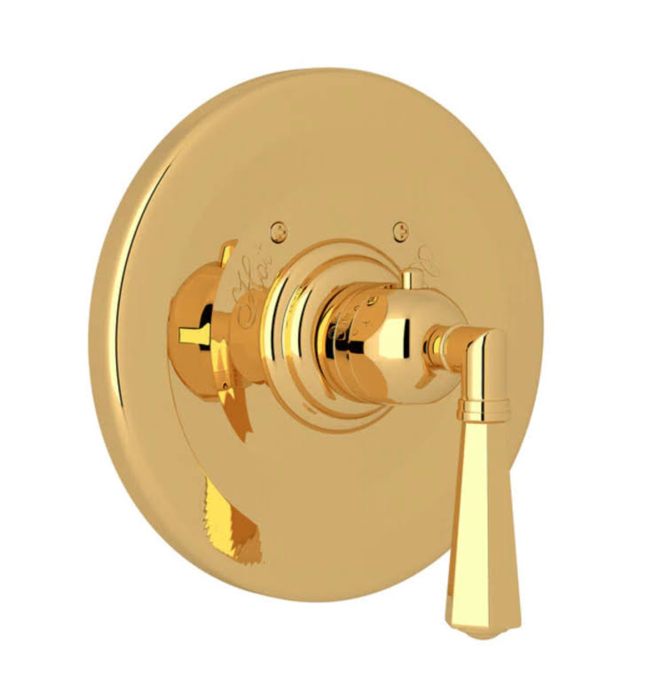 Satin Unlacquered Brass Thermostatic Trim Plate H670