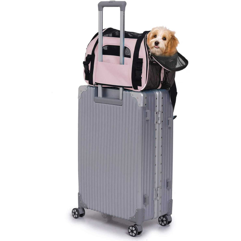 Soft Pet Carrier G655659