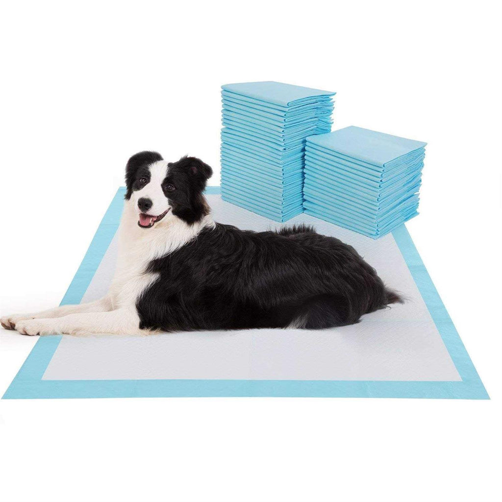 Large Super Absorbent & Leak-Proof Pet Training Pads R313